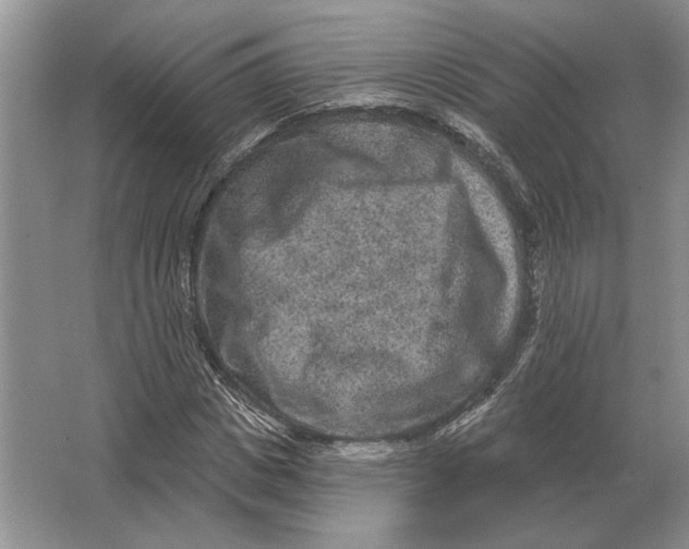 X0000063480825200602101804