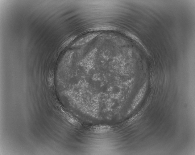 X0000063480833200602101804