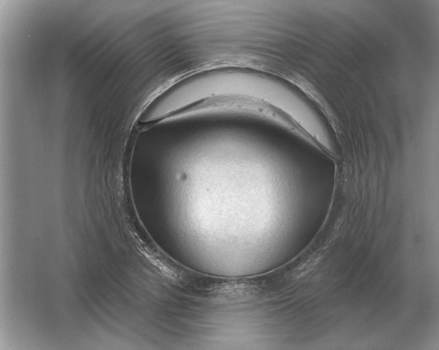 X0000063480834200602101804