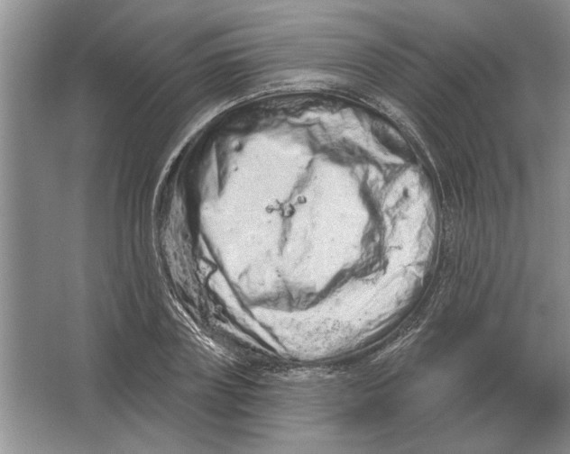 X0000063480835200602101804