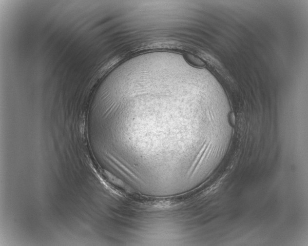 X0000063480841200602101804