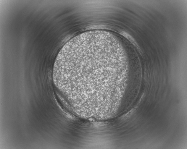 X0000063480849200602101804
