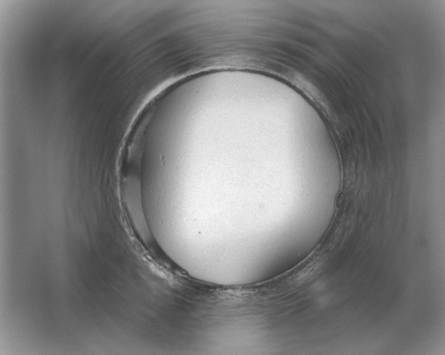 X0000063480854200602101804