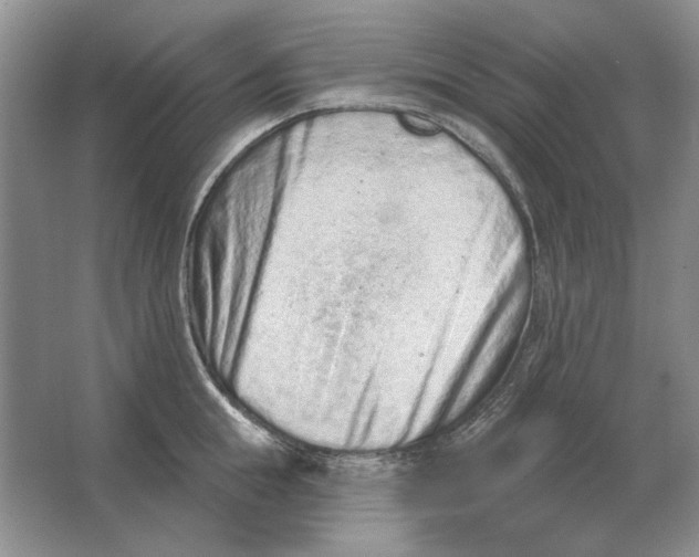 X0000063480855200602101804