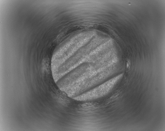 X0000063480867200602101804