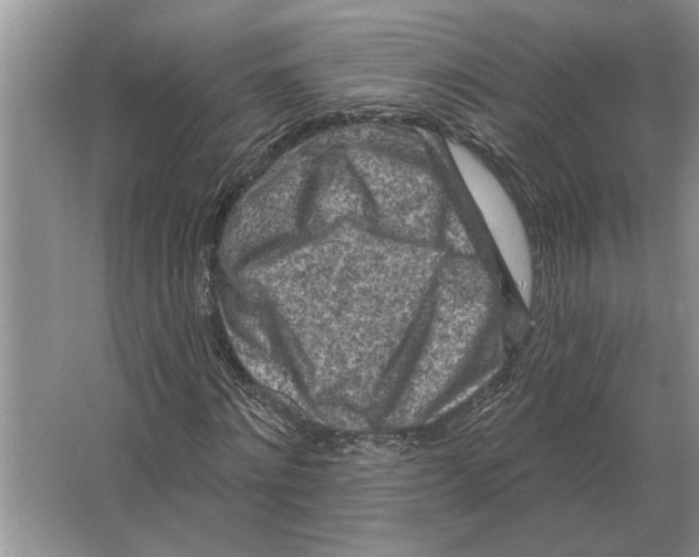 X0000063480868200602101804
