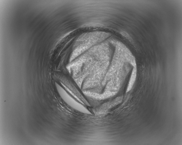X0000063480872200602101804