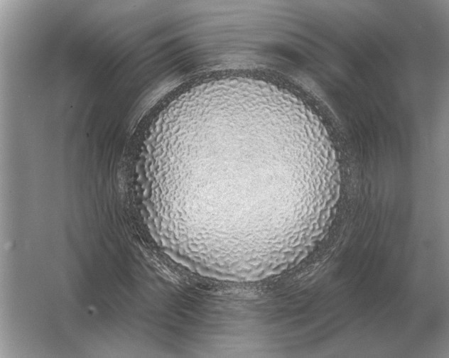 X0000063480874200602101804
