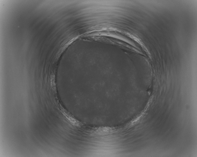 X0000063480881200602101804