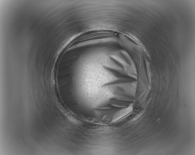 X0000063480885200602101803