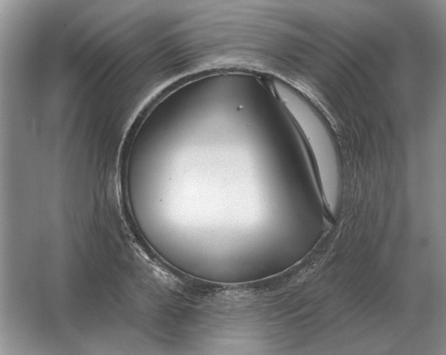 X0000063480888200602101803
