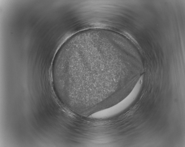 X0000063480891200602101803