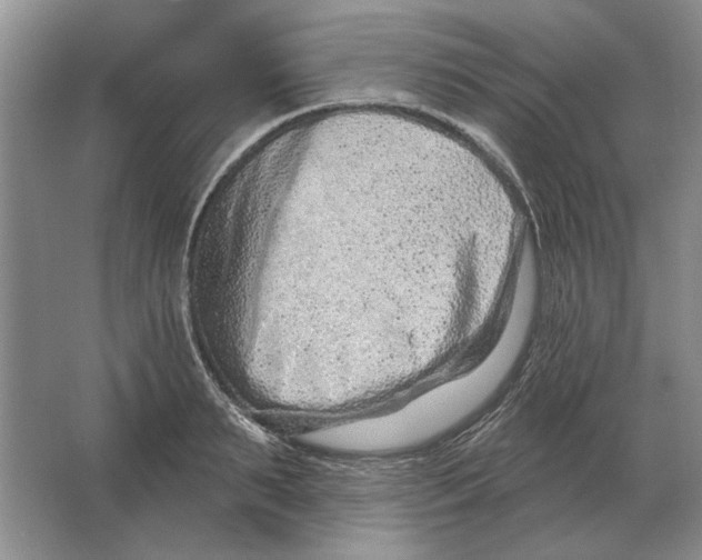 X0000063480895200602101803