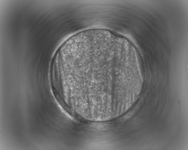 X0000063480910200602101803