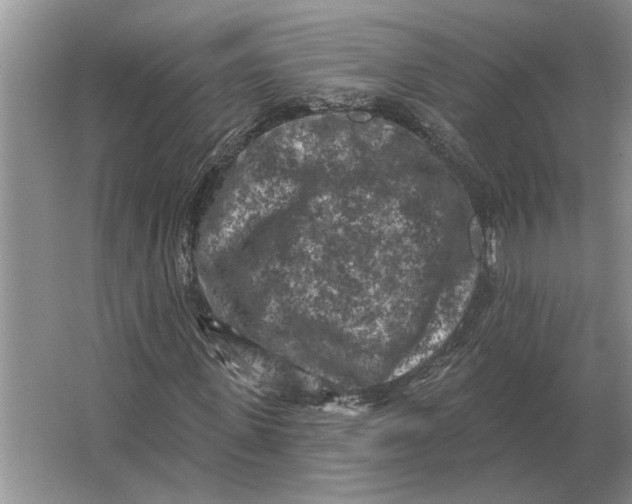 X0000063480915200602101802