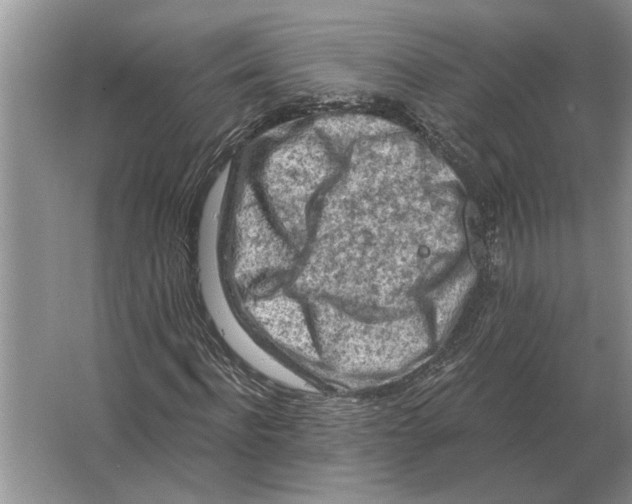 X0000063480916200602101802