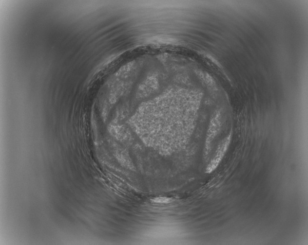 X0000063480919200602101802