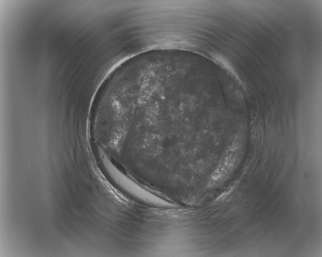 X0000063480932200602101802