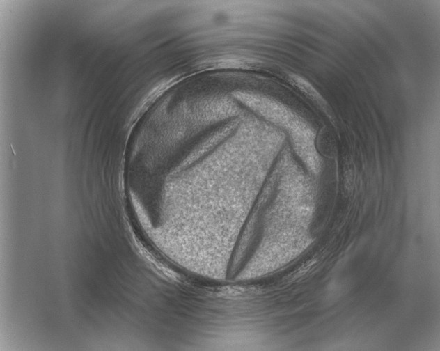 X0000063480938200602101803