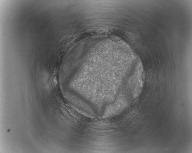 X0000063480962200602101802
