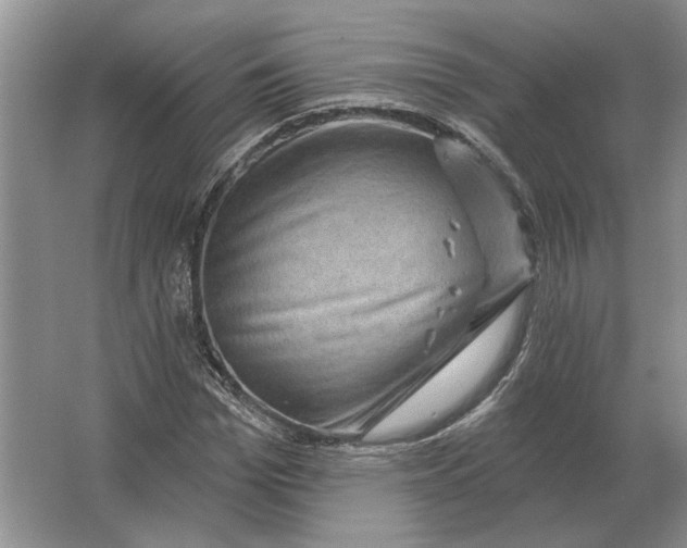 X0000063480969200602101802