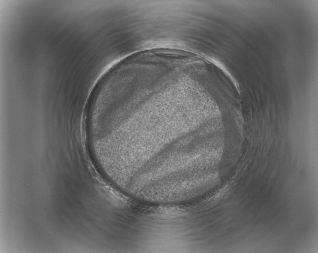 X0000063480983200602101802