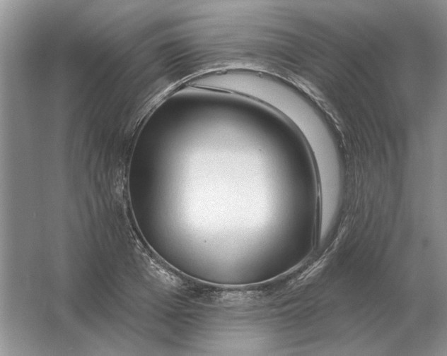 X0000063480985200602101802