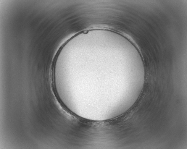 X0000063481003200602101801