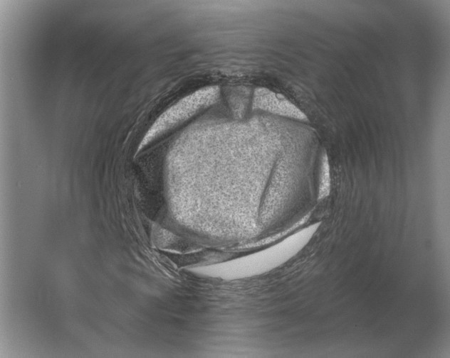 X0000063481009200602101801