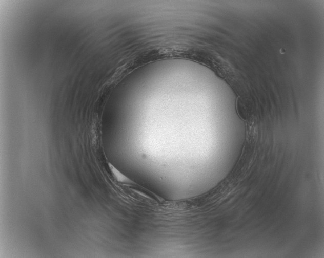X0000063481012200602101801