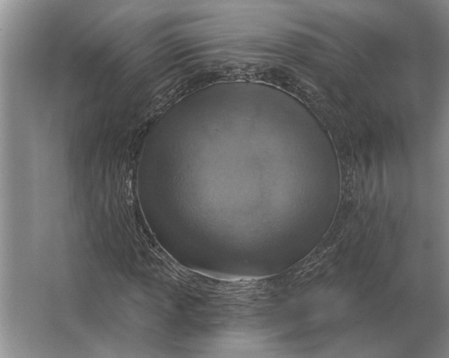 X0000063481013200602101801