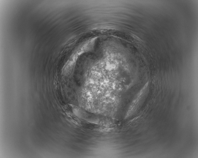 X0000063481014200602101801