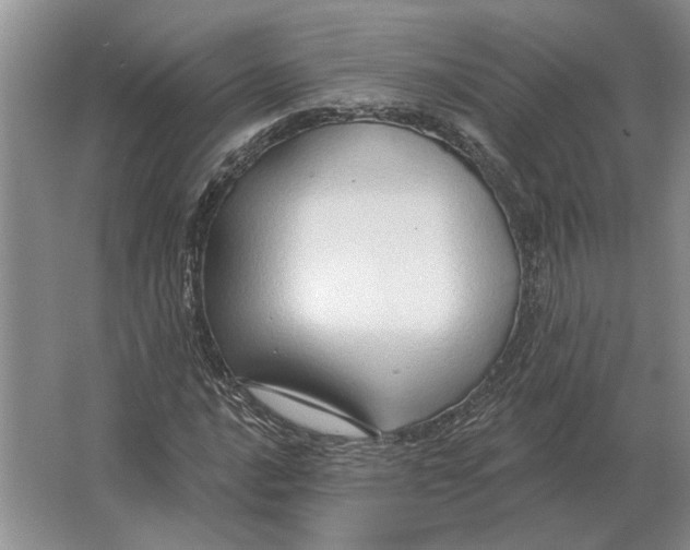 X0000063481016200602101801