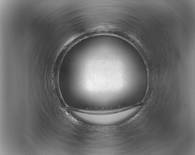 X0000063481018200602101801
