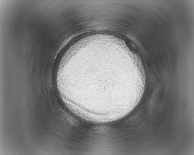 X0000063481023200602101801