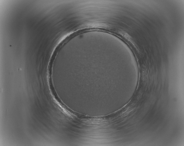 X0000063481024200602101801