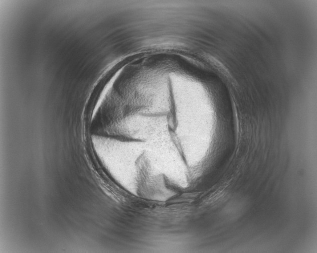 X0000063481031200602101801