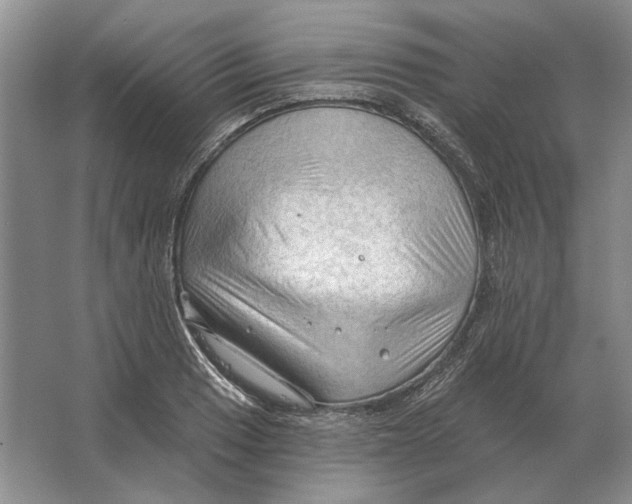 X0000063481033200602101801