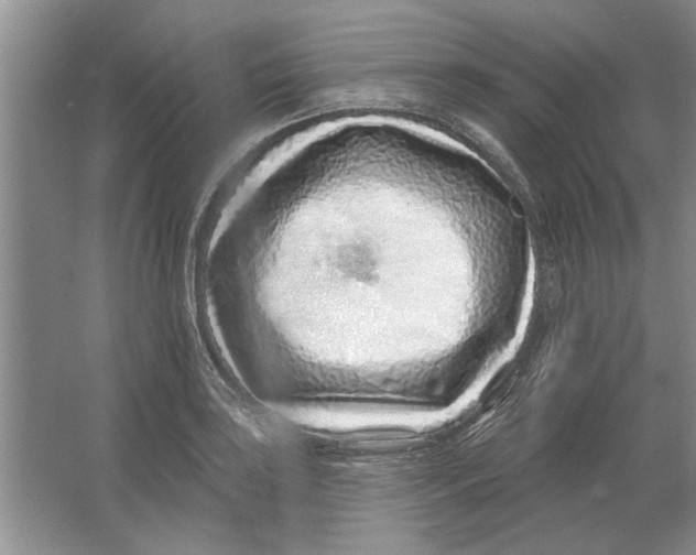 X0000063481035200602101801