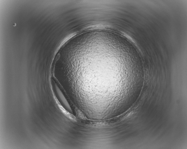 X0000063481042200602101801