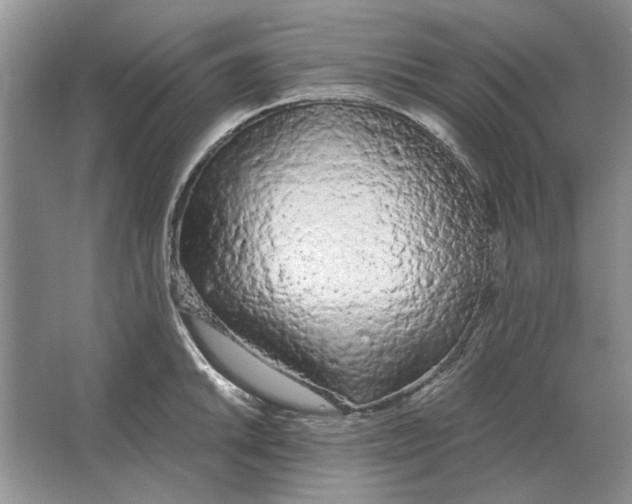 X0000063481046200602101801