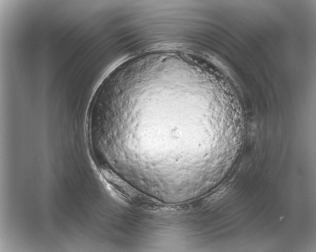 X0000063481050200602101801