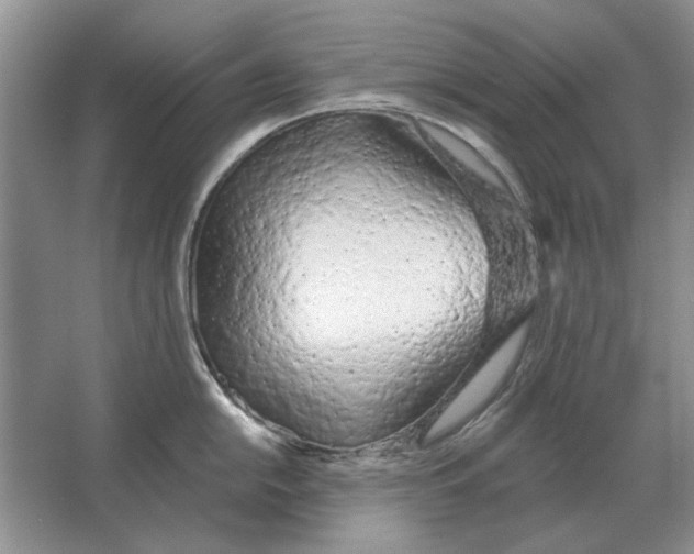 X0000063481054200602101801