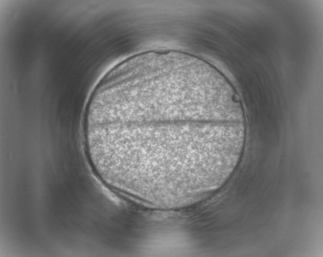 X0000063481056200602101801