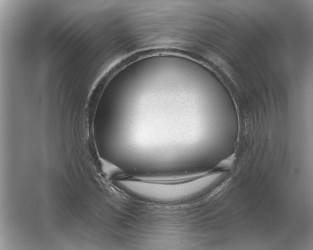 X0000063481069200602101800