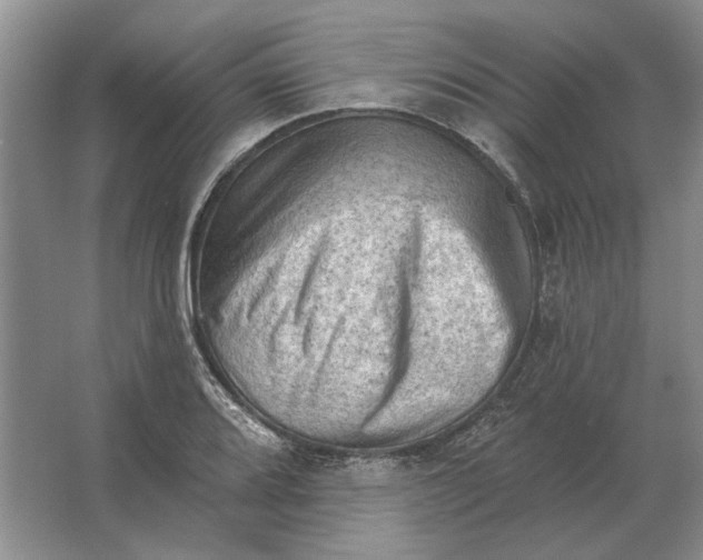 X0000063481080200602101800