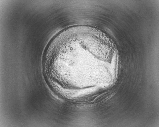 X0000063481087200602101800