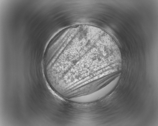 X0000063481100200602101800