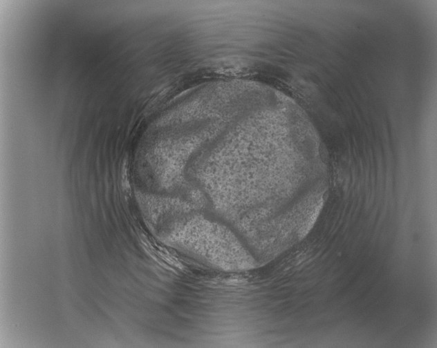X0000063481106200602101759
