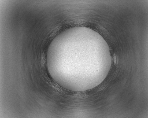 X0000063481107200602101759